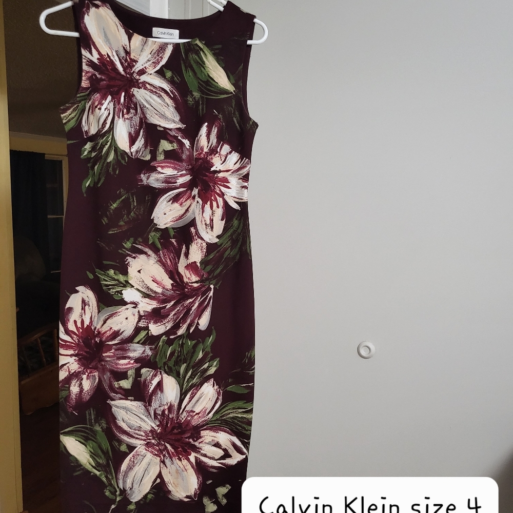 Professional dress